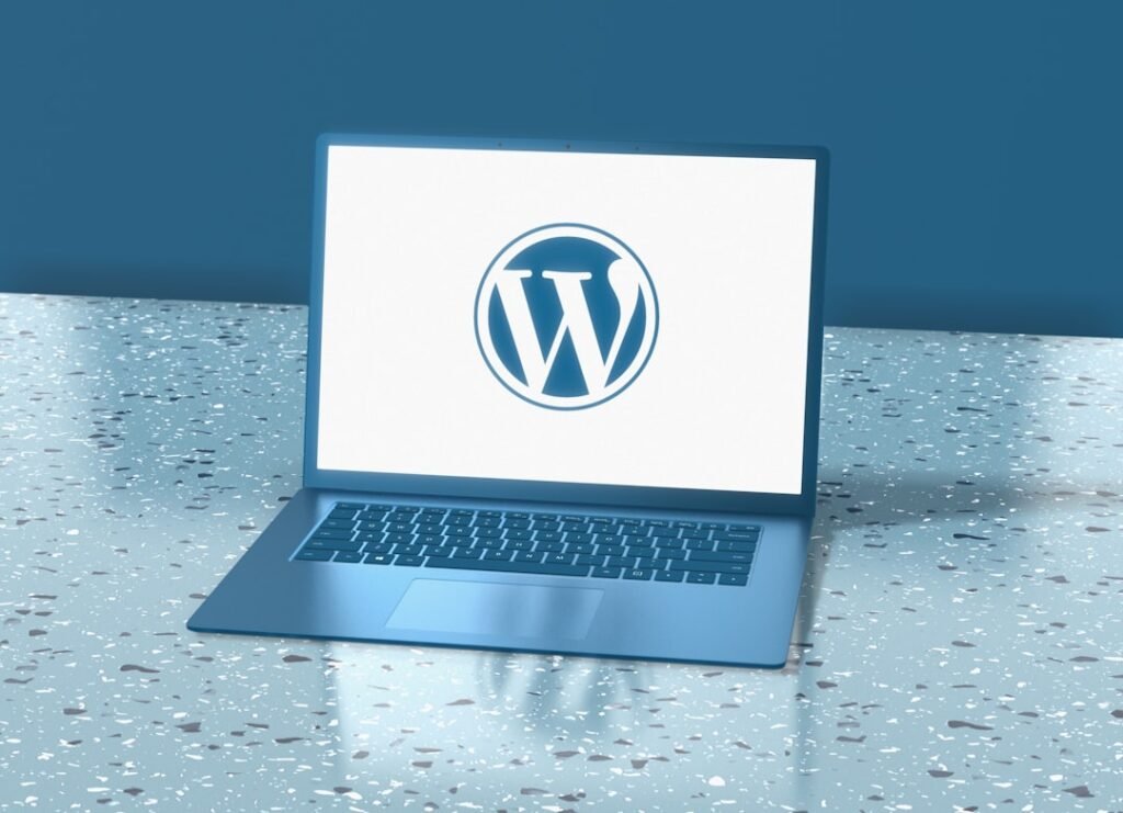 WordPress plugin vs SaaS for transfer businesses