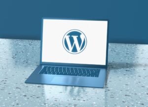 WordPress plugin vs SaaS for transfer businesses